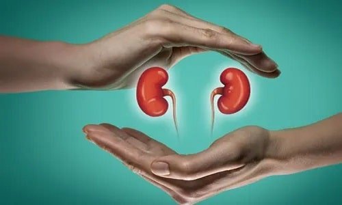 Follow these 7 rules to keep your kidneys healthy